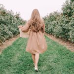Edward's Apple Orchard | Miss Madeline Rose