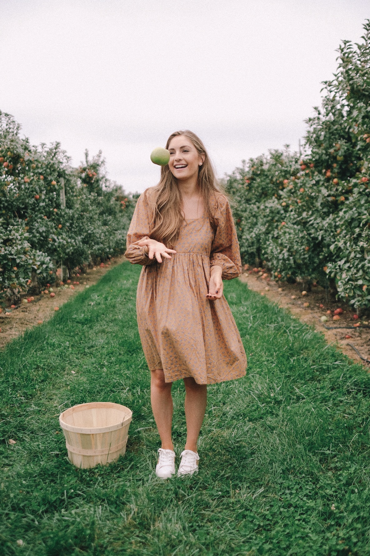 Fall dress and sneakers | Miss Madeline Rose