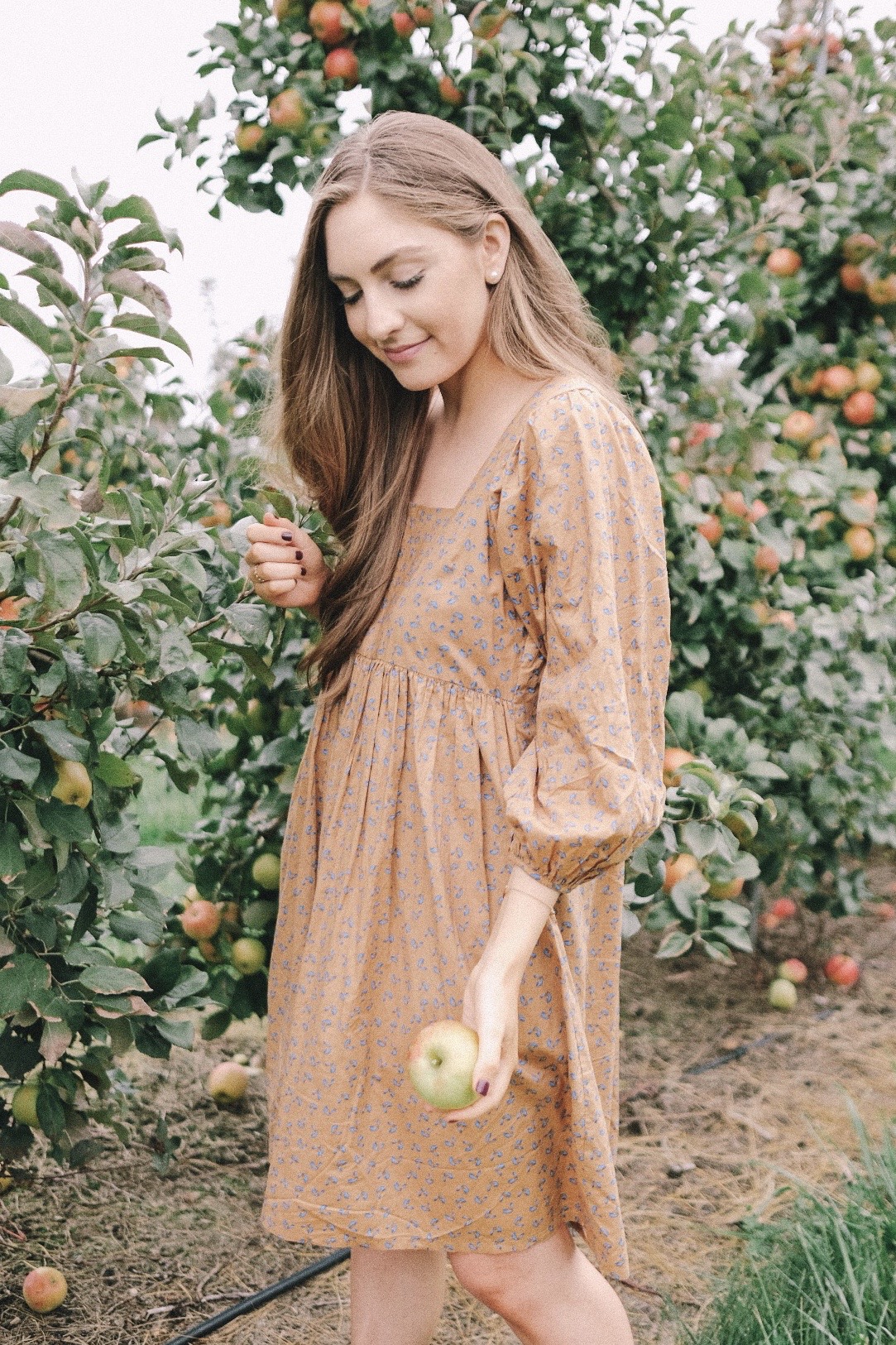 Apple picking | Miss Madeline Rose